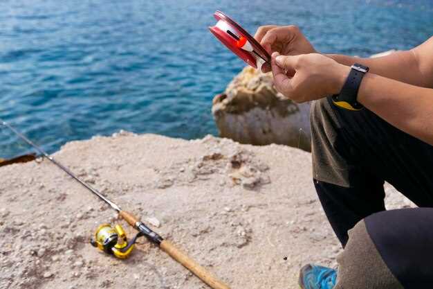 User Reviews and Ratings