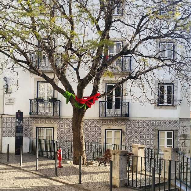 Vacation Rentals in Albion - Best Holiday Homes and Apartments Vacation Rentals in Albion: Best Holiday Homes and Apartments