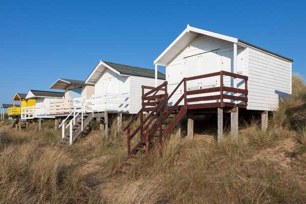 Amenities checklist: Wi-Fi, parking, pet policy, cleanliness, and kitchen gear