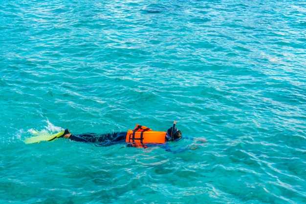 Waikoloa Snorkeling Guide – Top Spots, Tips, and Safety