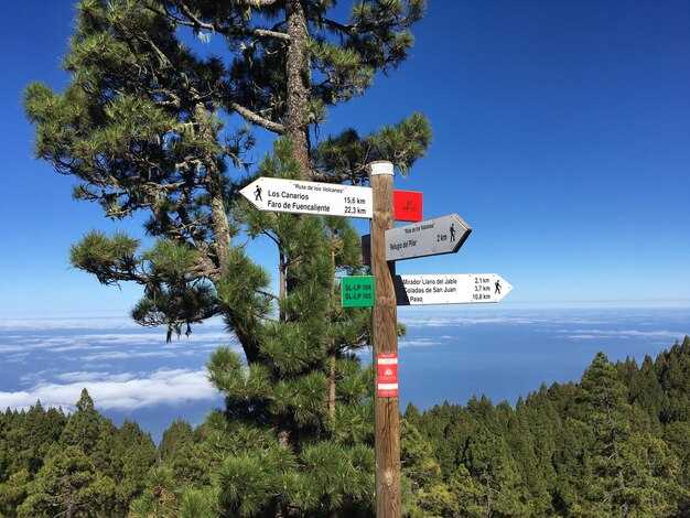 Top 10 Dana Point tours at a glance: highlights, durations, and inclusions