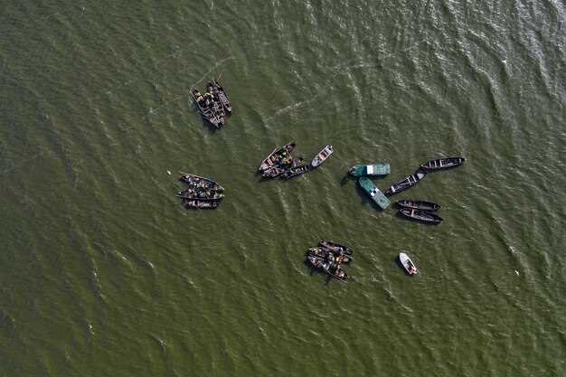 Gemide Atık: Yeniden Kullanılabilir Torbalar Hazırlayın ve Uygun İmha Yöntemleri Planlayın