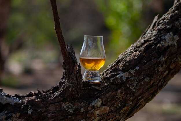 Considering Local Attractions and Amenities