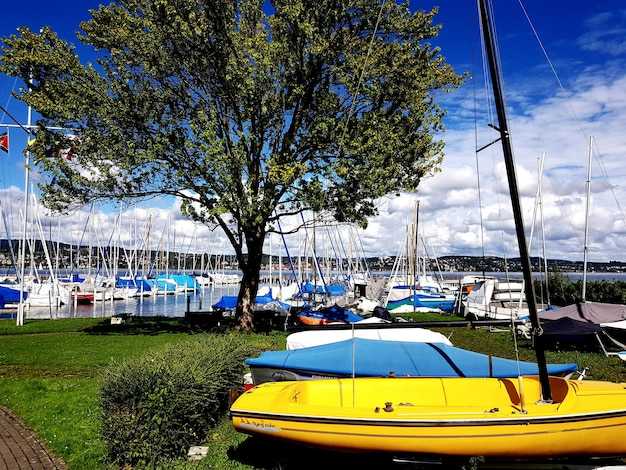 Plan Your Visit: Directions, Parking, and Marina Access