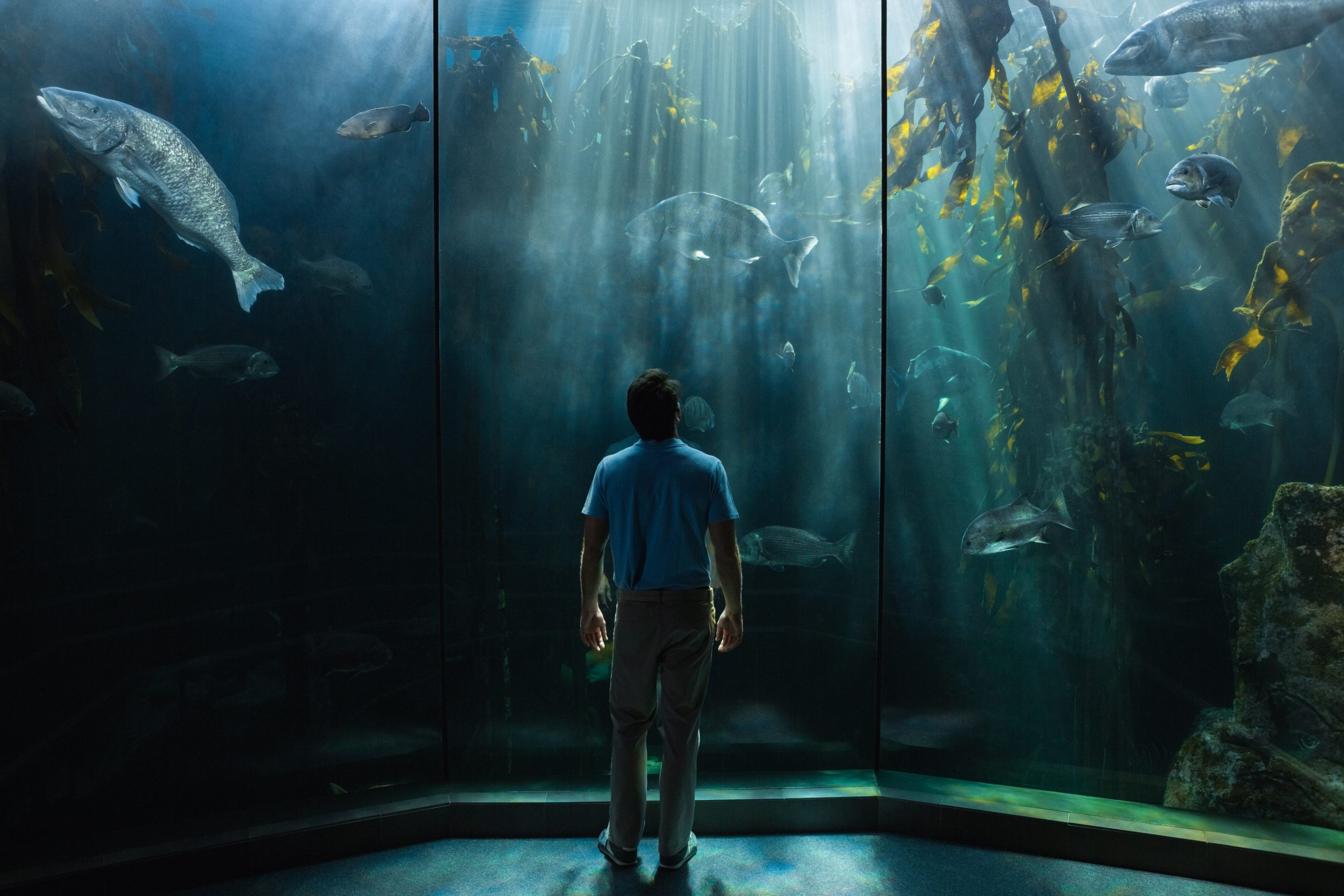 Descubra o Museu Oceanográfico do Mónaco: Um mundo fascinante de vida marinha e oceanografia
