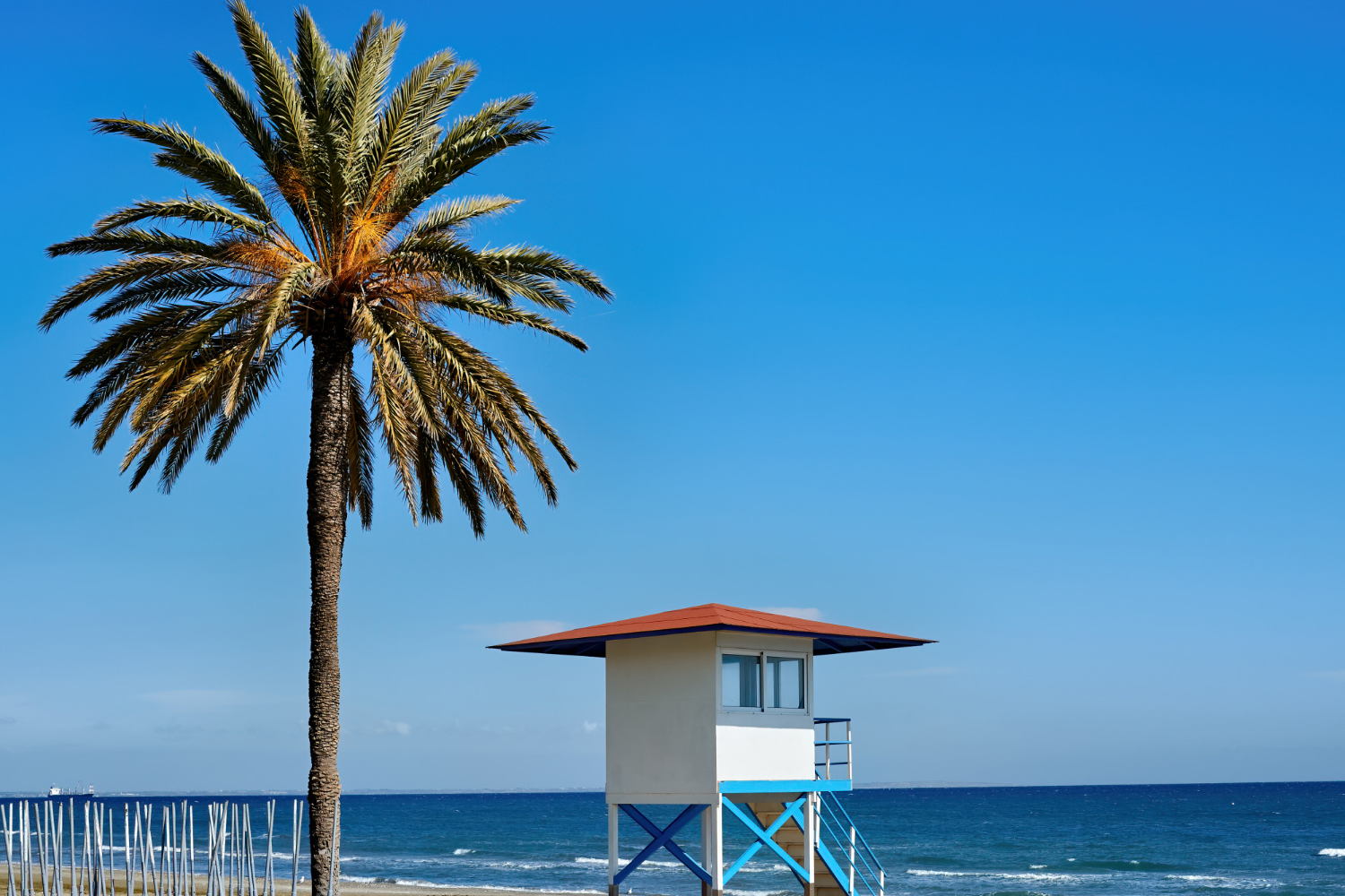 Beaches in LA: Coastal Gems to Explore