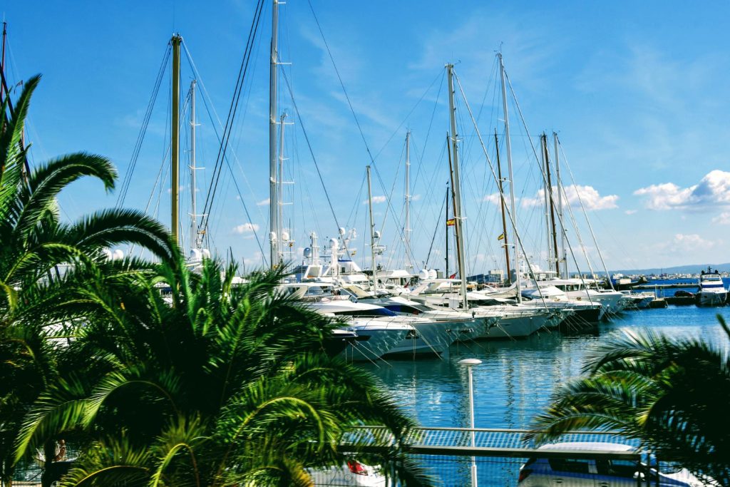 Burgess insider preview