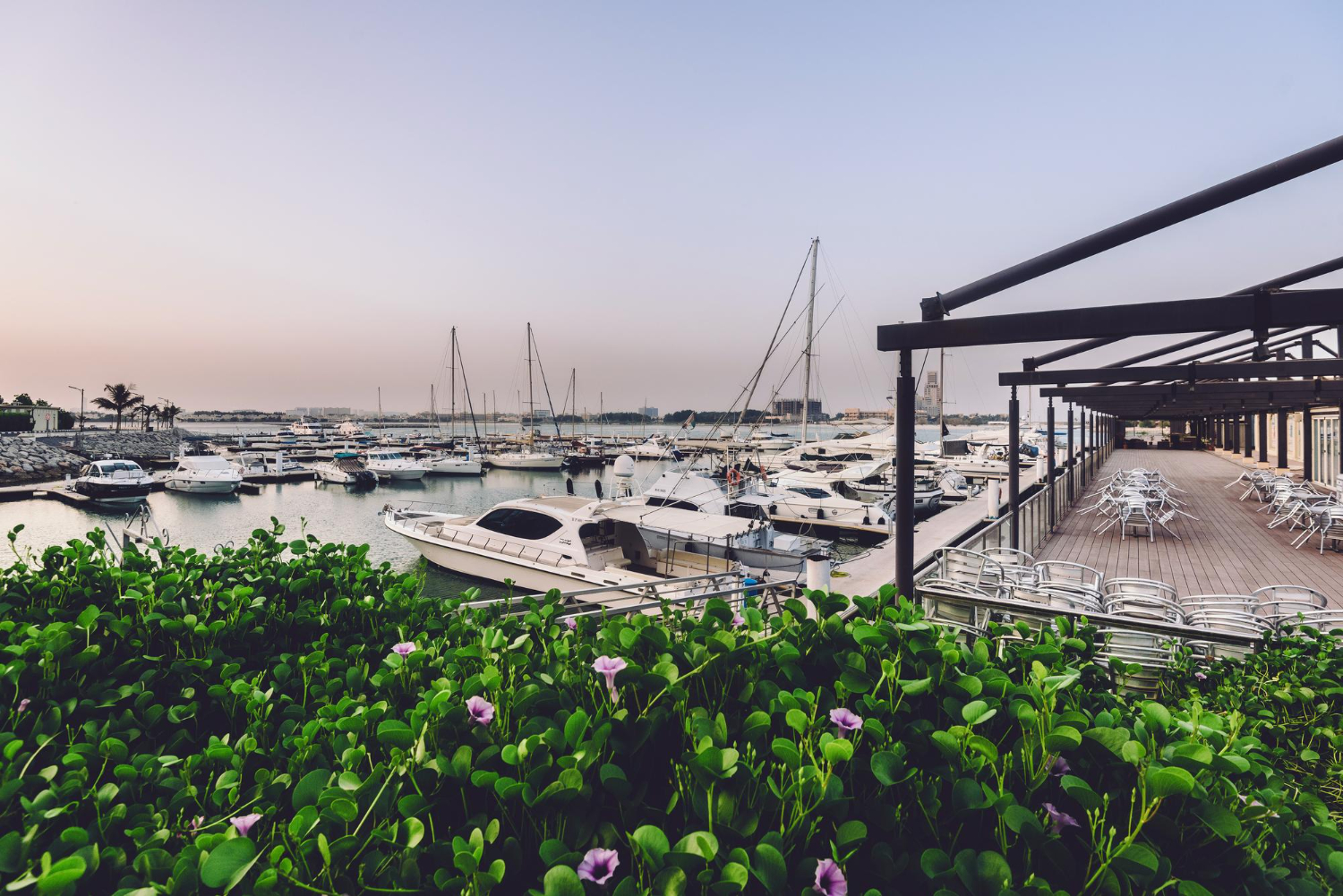 Royal Yacht Club of Ras Al Khaimah Earns Prestigious 5 Gold Anchor Rating