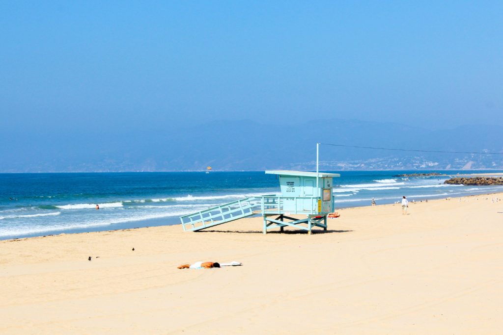 January Venice Beach activities