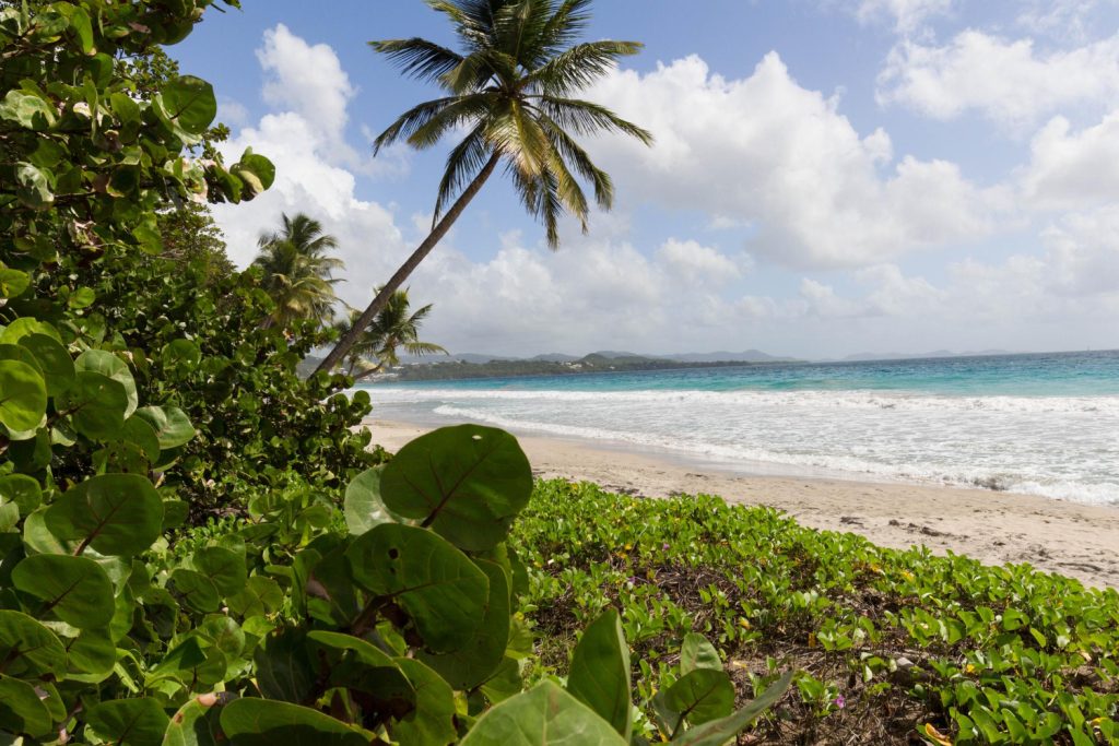 Martinique French Caribbean
