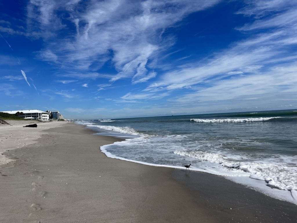 Top Activities in Satellite Beach, Florida You Shouldn’t Miss