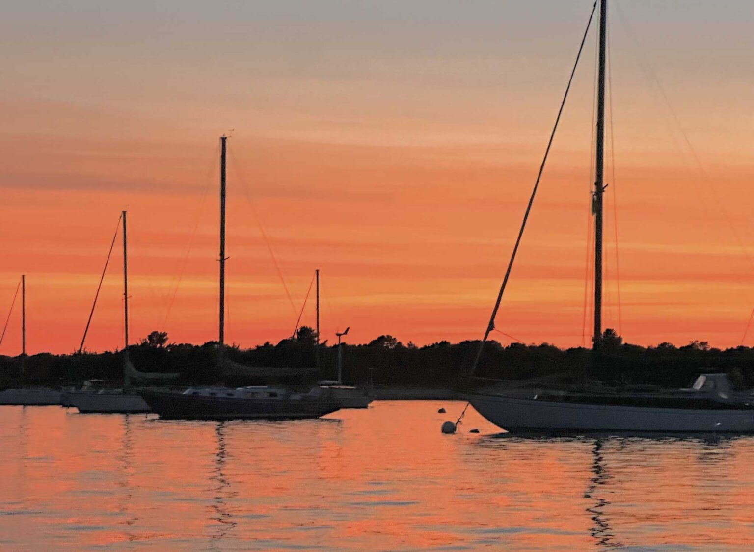 Evening Harbor Sails: A Nautical Delight