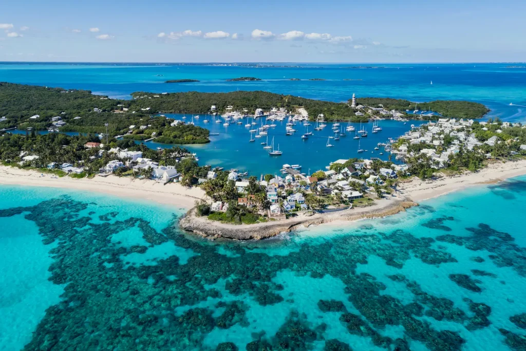 Tourist Severely Hurt by Shark While Spearfishing in the Bahamas
