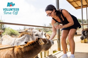 Aruba Launches Its Pioneering Voluntourism Campaign