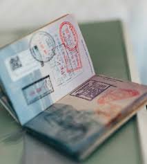 How an Indian Passport Holder Got a 5-Year Schengen Visa Fast