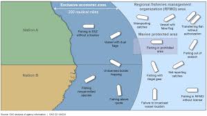 Understanding Fishing Violations and Their Impact
