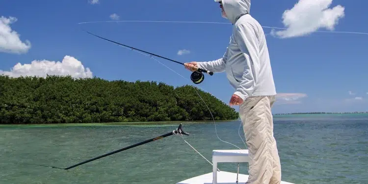 Tips for Successful Fishing in Summer Heat