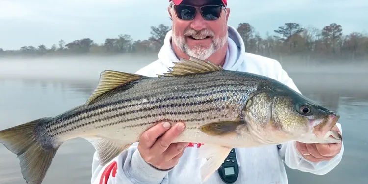 Optimal Timing for Generating Big Catches