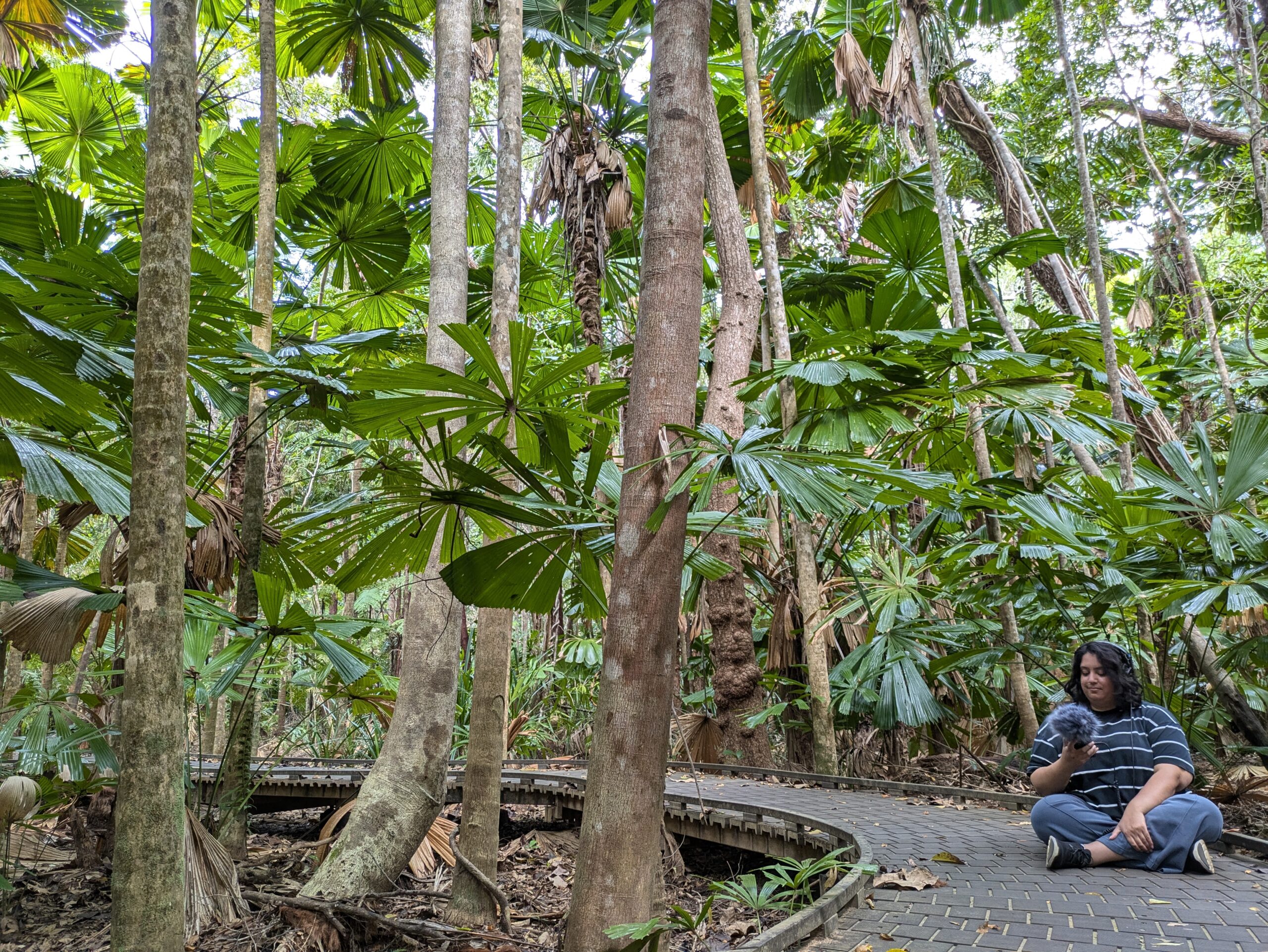 The Inspiring Influence of Sound Art and Nature in Education