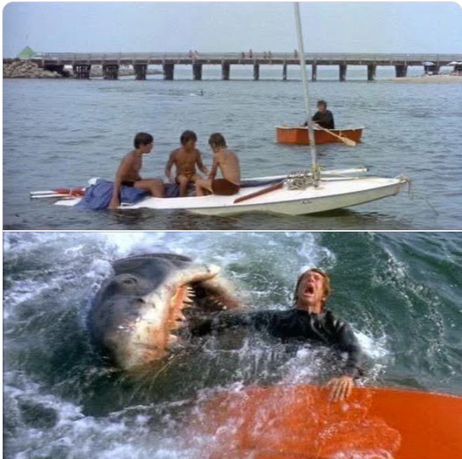50th Anniversary of Jaws: What It Means for Sailing