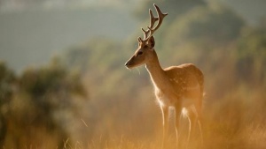Explore Lisbon’s Official Nature Route Today