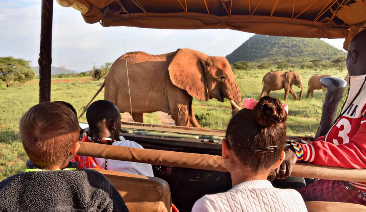 Unveiling the Boost in Luxury Safari Interest in Australia