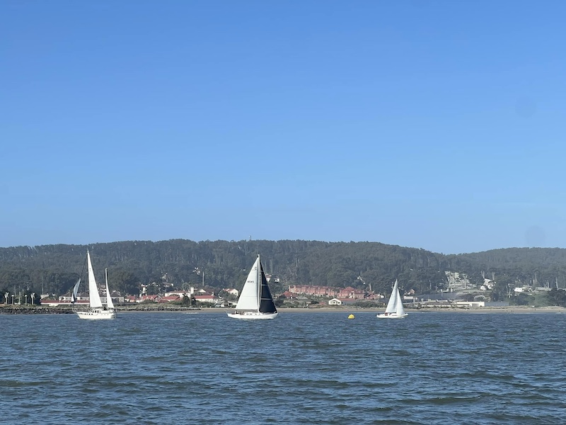 Sailing Into Adventure: The Uneasy Start of the Farallones Race
