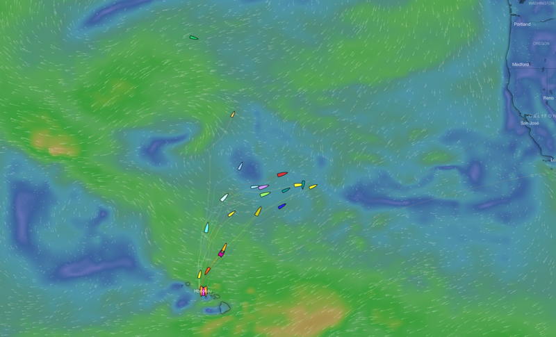 Navigating the Return Journey from Transpac Races