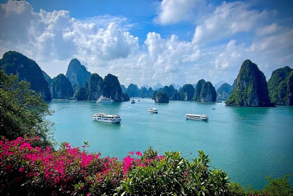 Vietnam’s Tourist Influx: Aiming for 25 Million Visitors