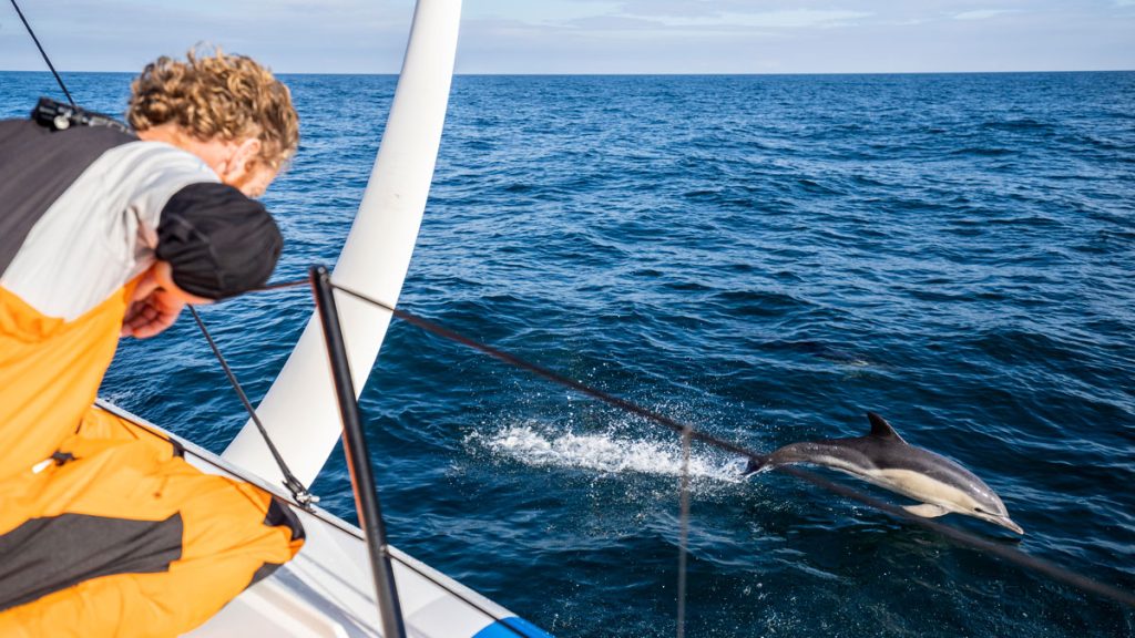 Raising Awareness on Marine Collisions
