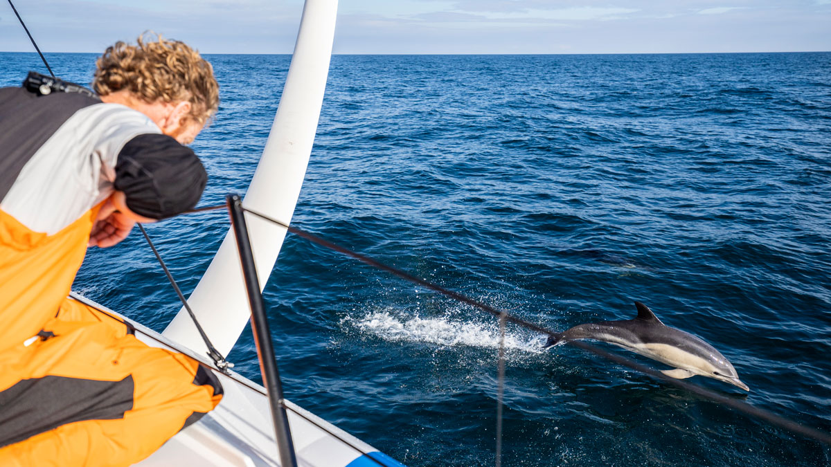 Raising Awareness on Marine Collisions