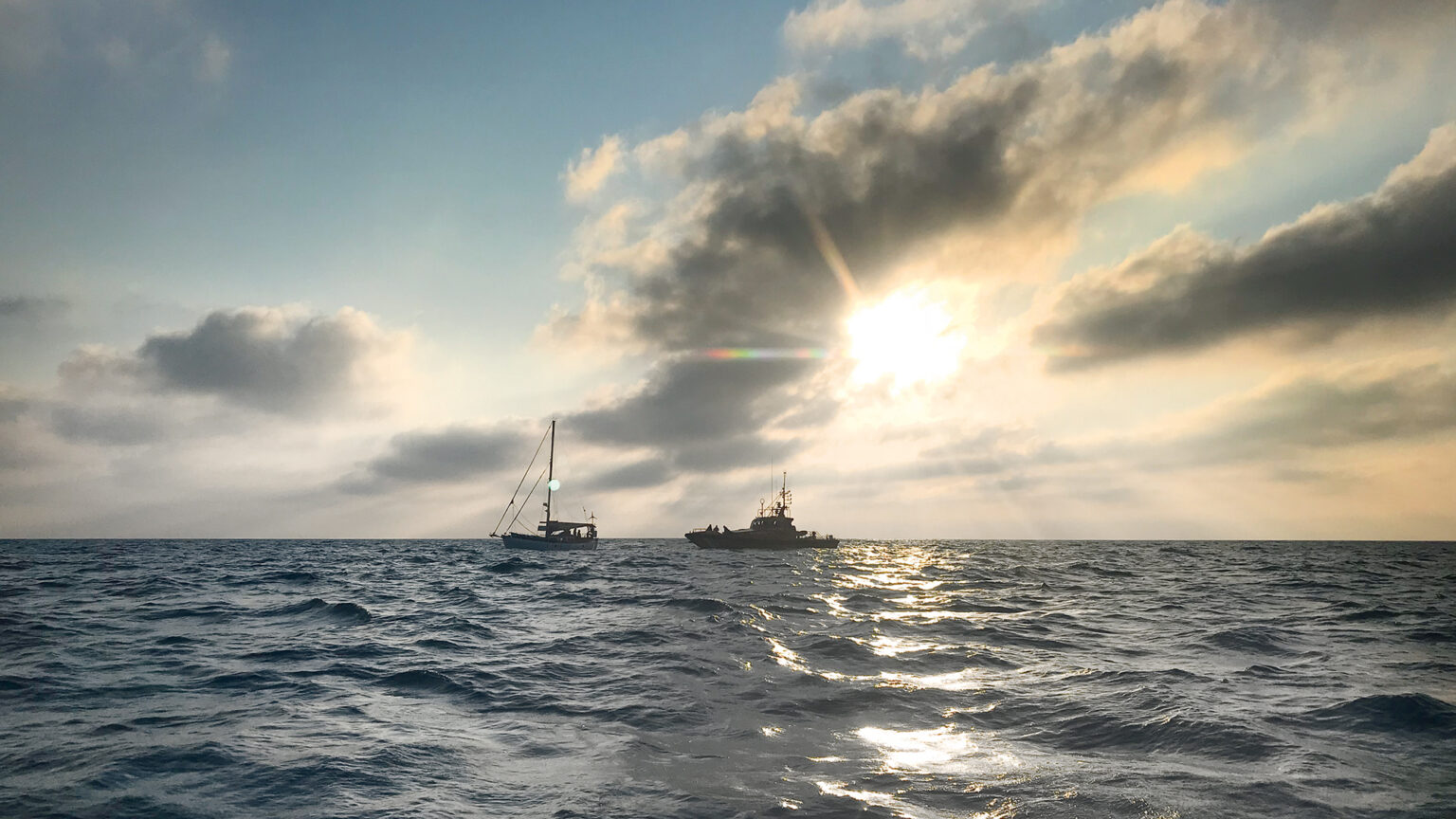 A Yachtswoman’s Unexpected Encounter at Sea