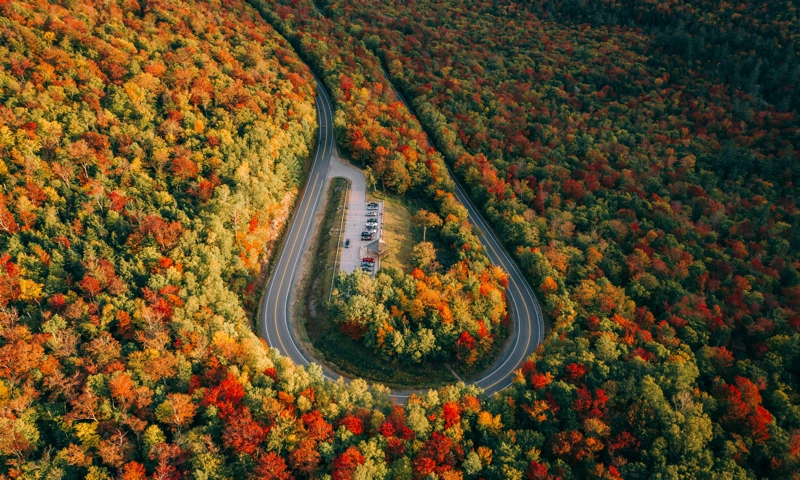 American Leisure Travel Remains Strong Despite Economic Hesitation