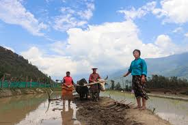 How Tourism Fuels Economic Growth in Landlocked Developing Countries