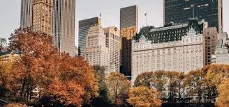 Discover the Best Hotels in New York City for Autumn