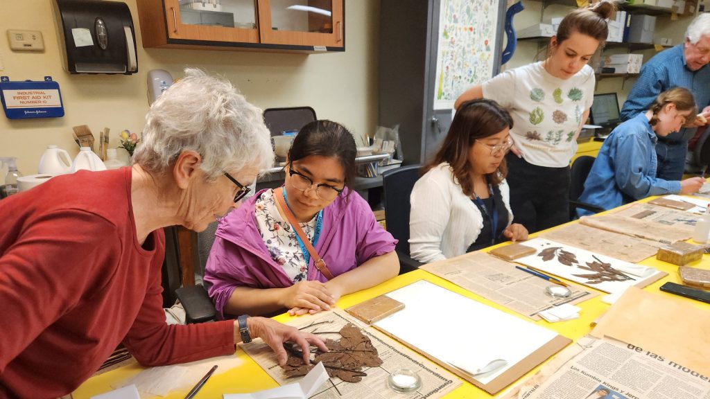 Collaborative Botanical Conservation at Penn Museum