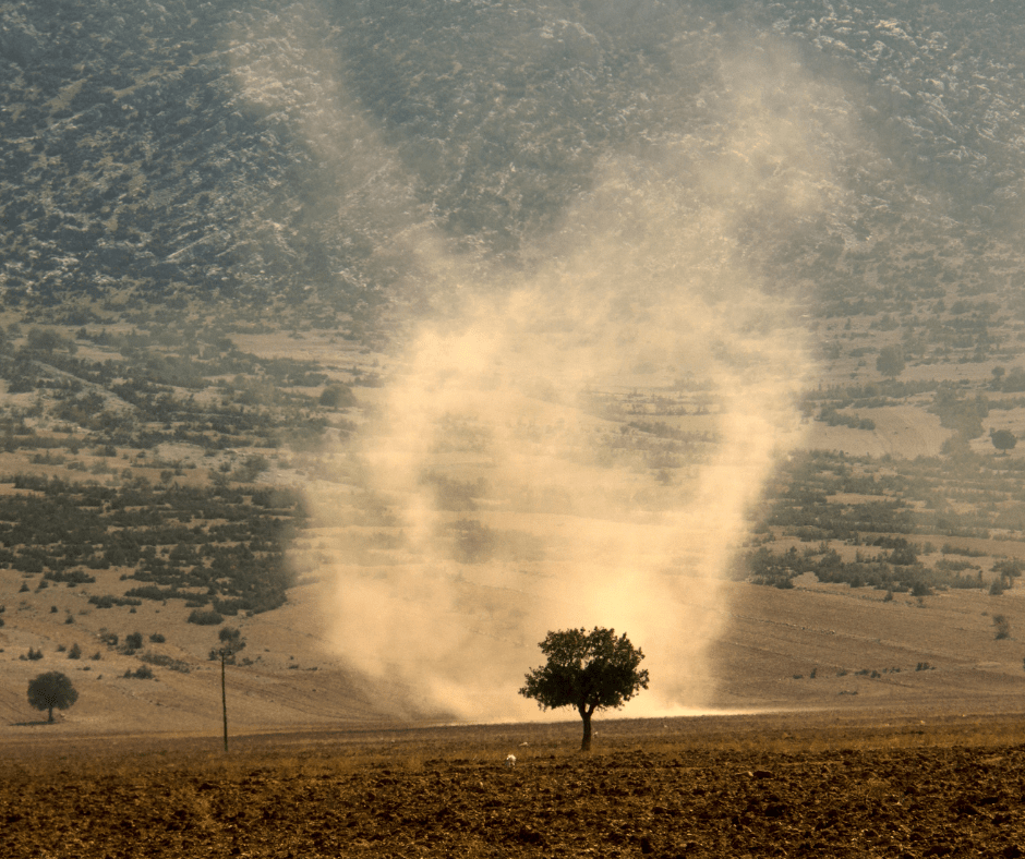 The Journey of Dust Through Time
