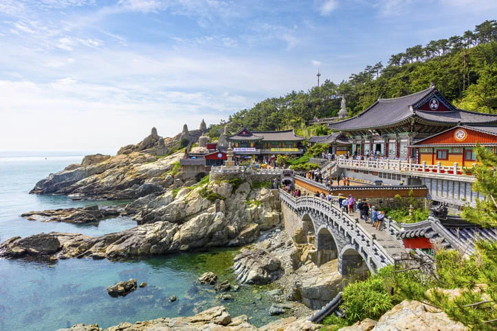 Unveiling Busan’s Coastal Charms: A Comprehensive Regional Guide