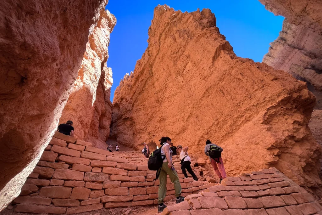 Utah’s National Parks Experience a Summer Tourism Decline