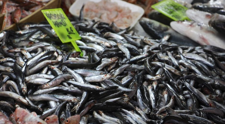 Hamsi Anchovies: Turkey’s Culinary Treasure from the Black Sea