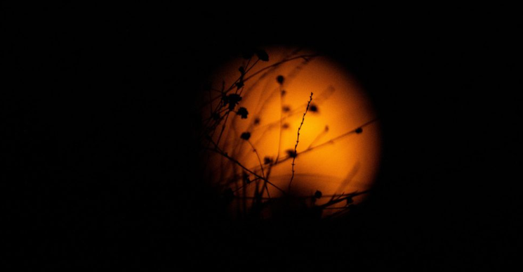 Highlights from Fethiye: Blood Moon, Blue Cave, and Regional Updates