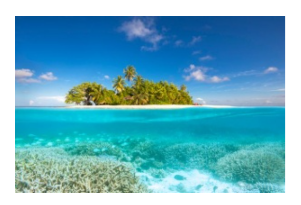 W Maldives Teams Up for Extensive Coral Reef Restoration Initiative