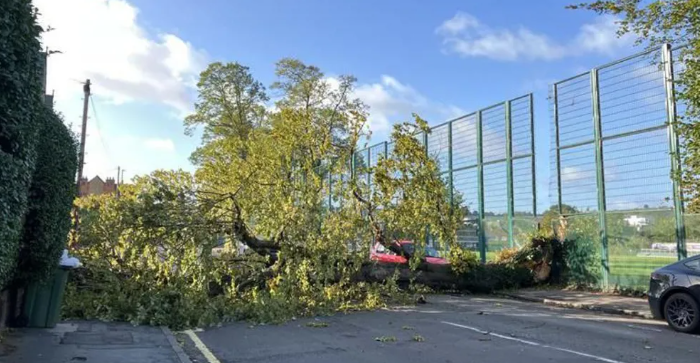 Travel Disruptions Caused by Fierce Winds and Fallen Trees in South East England
