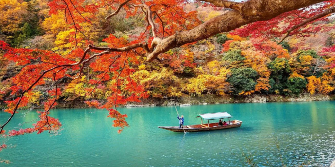Kyoto Emerges as a Global Haven of Tranquility Amidst Tourism Buzz