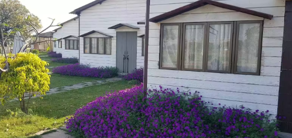 Uttar Pradesh’s new farm stay initiative ignites agri-tourism growth