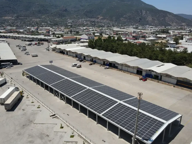 Key Developments in Fethiye and Muğla: Tourism, Rescue, and Sustainability