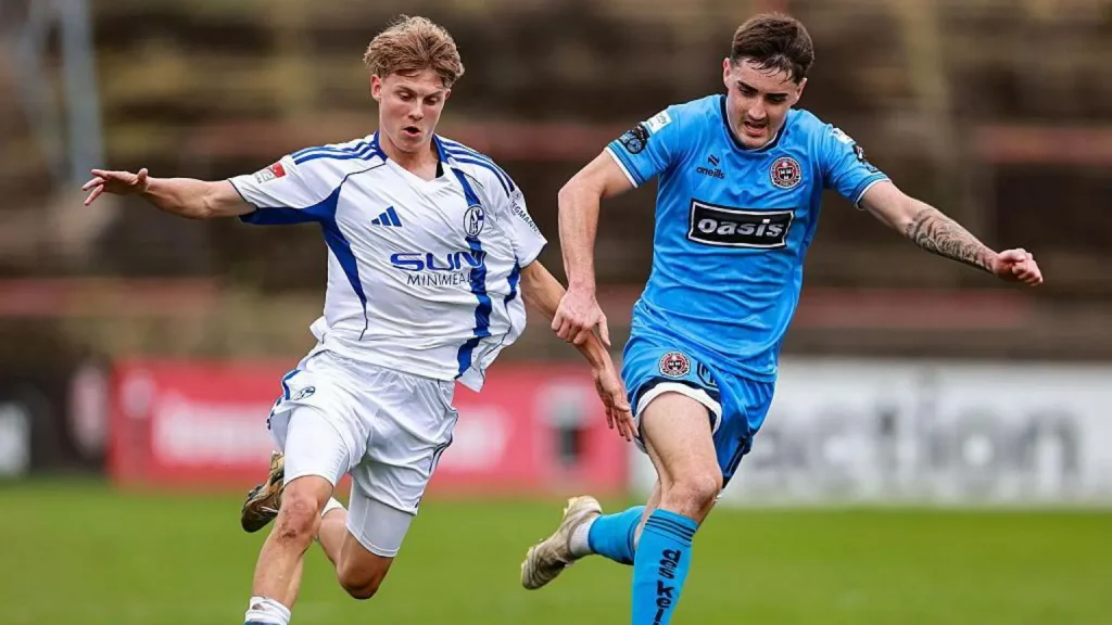 FC Schalke 04 Addresses Fan Misconduct Following Dublin Incident