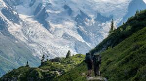 Emerging Travel Trends in 2026: From Hotel Hopping to Rustic Farm Escapes