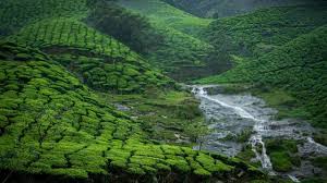 Asia’s Most Beloved Rural Destinations Highlighted, Munnar Among Top Highland Spots
