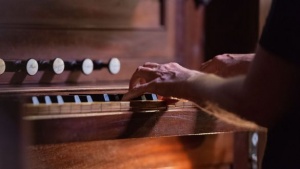 Madeira Gears Up for Organ and Mandolin Festivals This October